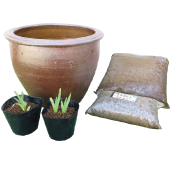 set-1184セット内容