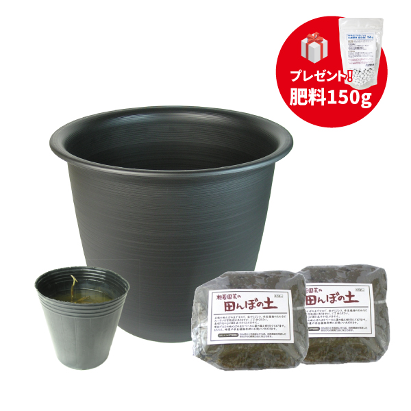 set-1198セット内容