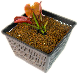 19cm角カゴイメージ