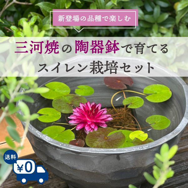 株式会社 杜若園芸｜水草の生産販売【通販ショップ】