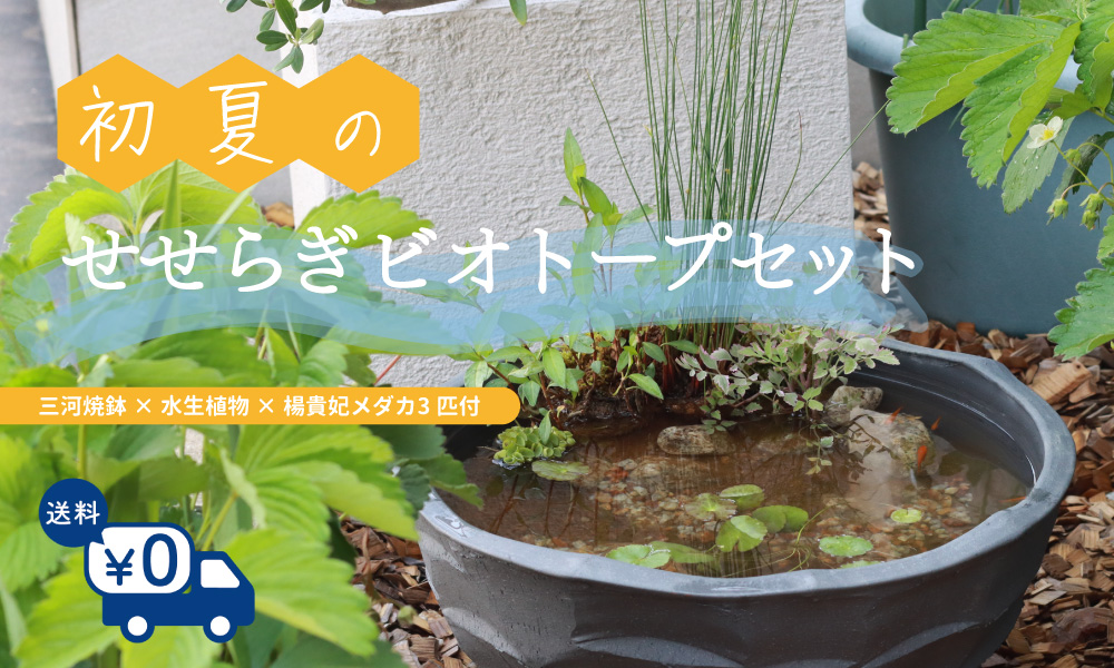 せせらぎビオトープトップバナー