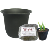 set-1203セット内容