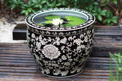 set-1204マリカ開花イメージ