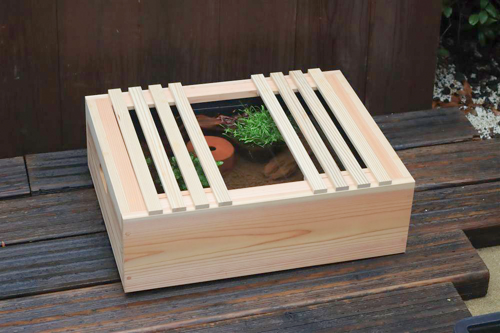 冬のイメージで見たメダカの模様替えセット