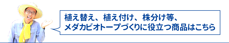 メダカビオトープ作りに役立つ商品