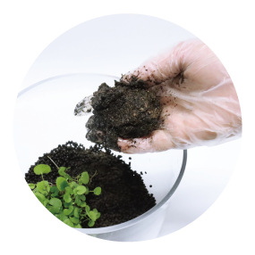 テラリウム土の画像