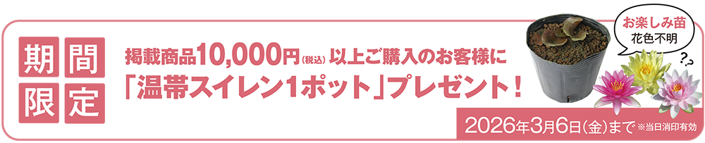 春だよりvol.1_キャンペーン対象商品一覧バナー