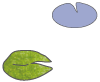 ハスの浮葉イメージ