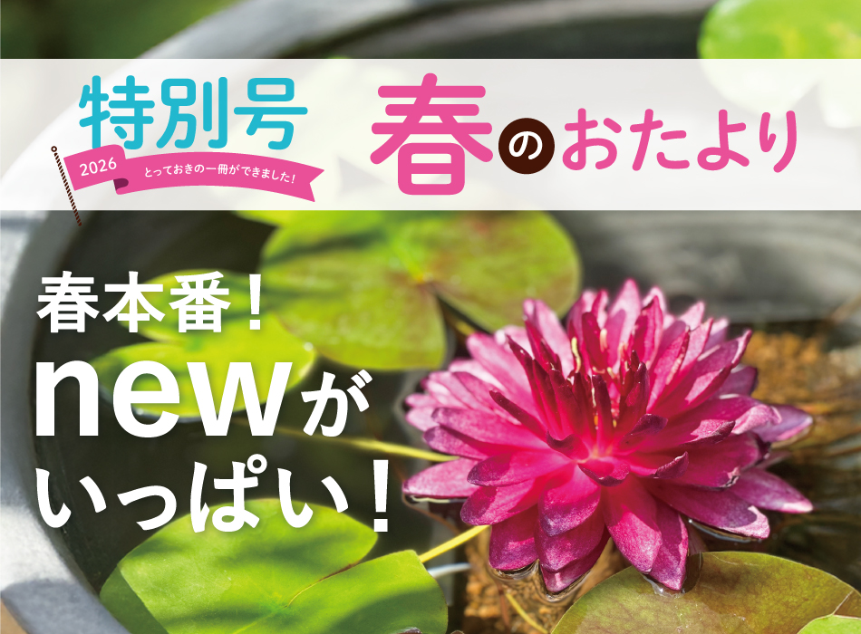 春のおたより2026_vol.3トップバナー