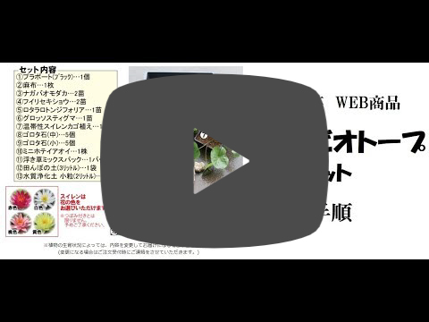 解説動画サムネイル