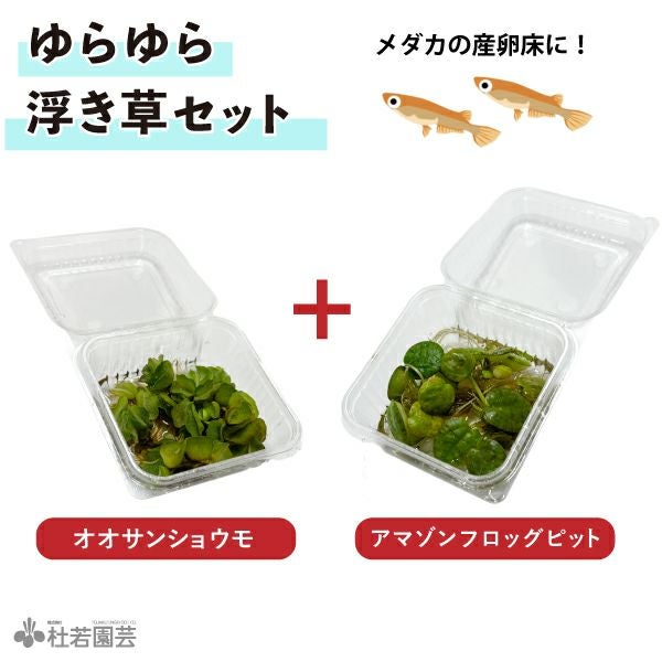 PLABOAT グリーン（プラボート） 【トロ舟、プラ舟】 | 杜若園芸WEB