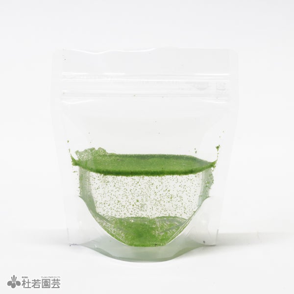 水生植物】 ゆらゆら浮き草セット | 杜若園芸WEBショップ｜水草の生産
