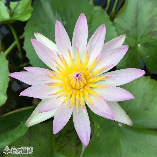 000000000277-02.jpg?size=l&w=