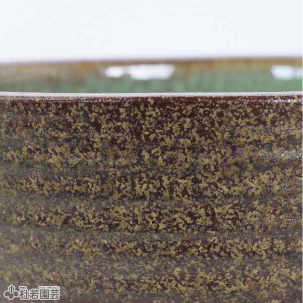 メダカにおすすめ！メダカ鉢】 窯肌ひねりボウル水鉢10号 WN10-502