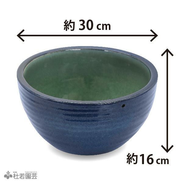 A-355 水鉢❗️ 黒プラ鉢Φ39 | 杜若園芸WEBショップ｜水草の生産販売【通販ショップ】