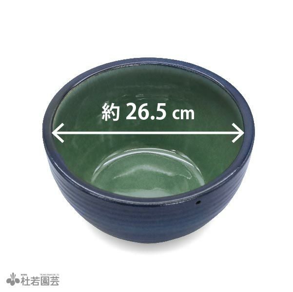 メダカにおすすめ！メダカ鉢】 生子ひねりボウル水鉢10号 WN10-504