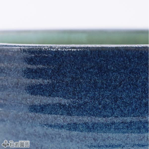メダカにおすすめ！メダカ鉢】 生子ひねりボウル水鉢10号 WN10-504