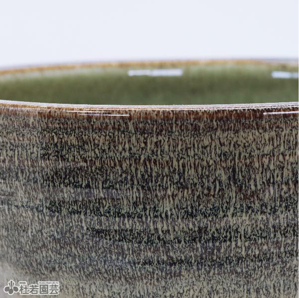 メダカにおすすめ！メダカ鉢】 天目ひねりボウル水鉢10号 WN10-517