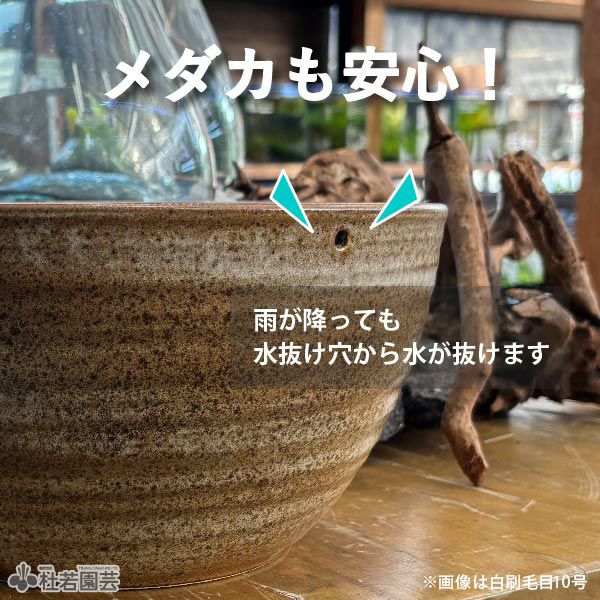 メダカにおすすめ！メダカ鉢】 天目ひねりボウル水鉢10号 WN10-517