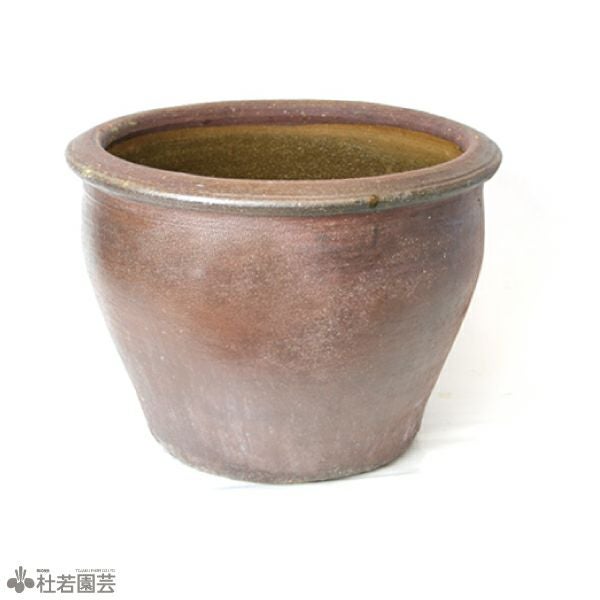 陶器鉢（EW001 LL）大 | 杜若園芸WEBショップ｜水草の生産販売【通販