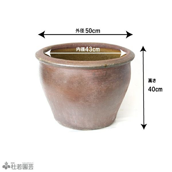 陶器鉢（EW001 大） | 杜若園芸WEBショップ｜水草の生産販売【通販