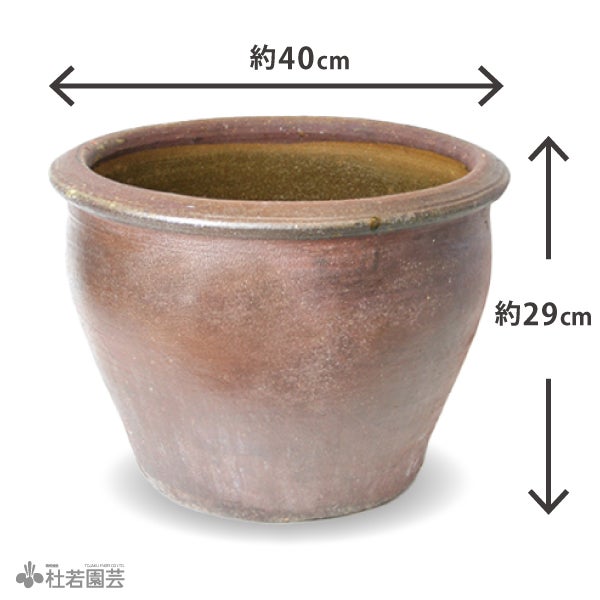 ✿　陶器 鉢 陶器鉢（EW001 中） | 杜若園芸WEBショップ｜水草の生産販売【通販