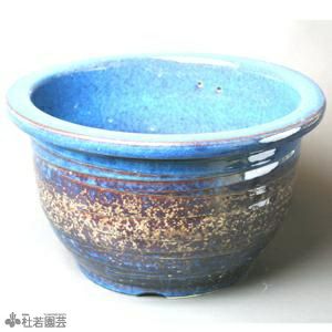 メダカにおすすめ！メダカ鉢】 水鉢(12号青釉ハケ目) | 杜若園芸WEB