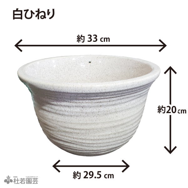 信楽焼水鉢（11号） | 杜若園芸WEBショップ｜水草の生産販売【通販