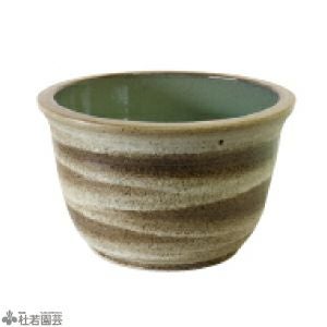 メダカにおすすめ！メダカ鉢】 水鉢（11号ひねり） | 杜若園芸WEB