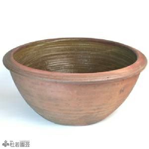 大型浅鉢（EW004大） | 杜若園芸WEBショップ｜水草の生産販売【通販