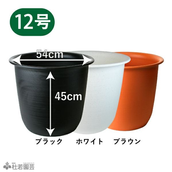 000000000802-01.jpg?size=m&w=