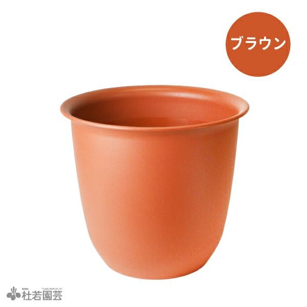 ワイン色木蓮 鉢ごと発送 ハス（蓮）用・大型プラ鉢・12号 | 杜若園芸WEBショップ｜水草の生産