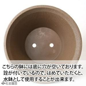 陶鉢風 寄型 プラ鉢 φ300×h165mm 5リットル | 杜若園芸WEBショップ