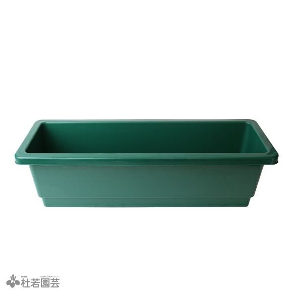 水生植物】 オオオニバスの種 5粒入り | 杜若園芸WEBショップ｜水草の