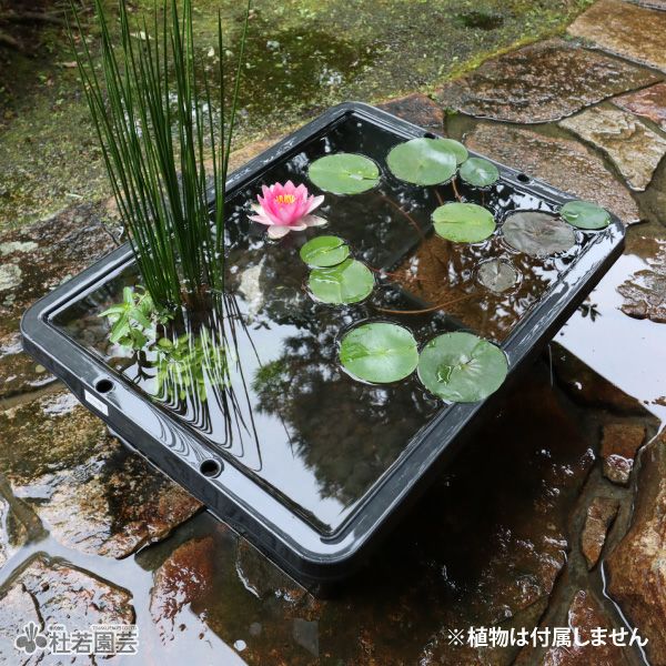 PLABOATブラック(プラボート)【トロ舟、プラ舟】 | 杜若園芸WEB