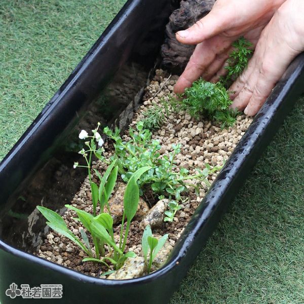 鉢　大量 6号用鉢スタンドマジックスクエアスタンド｜バラと庭あそび京阪園芸