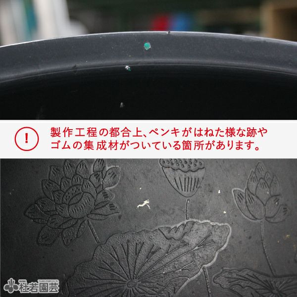ハス絵柄入りプラ製水鉢L | 杜若園芸WEBショップ｜水草の生産販売
