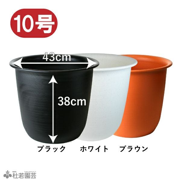 000000000827-01.jpg?size=l&w=