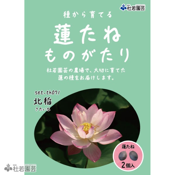5袋までメール便対応】蓮たねものがたり-中国古代蓮(ちゅうごくこだい