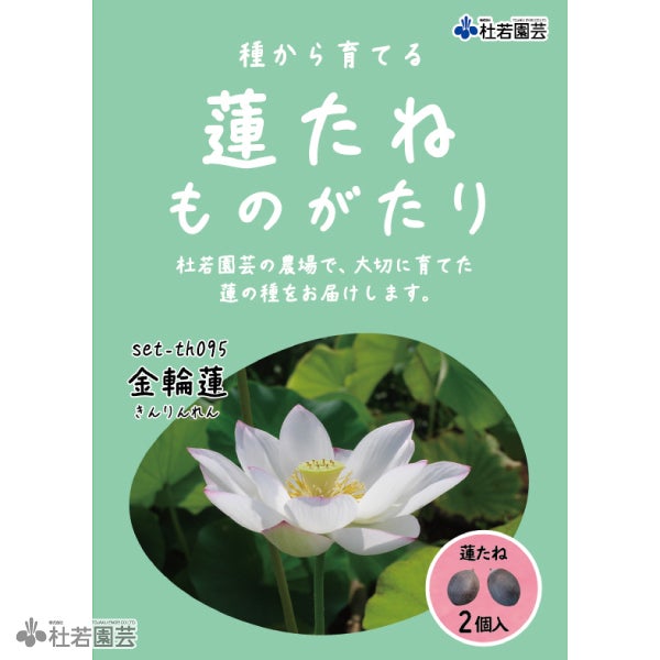 花蓮苗　蓮根　S1000 Gold 5袋までメール便対応】蓮たねものがたり-金輪蓮（きんりんれん）【大型