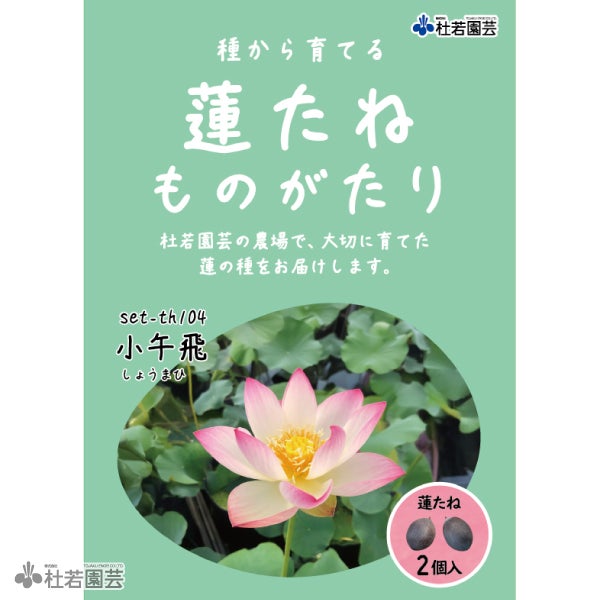 5袋までメール便対応】蓮たねものがたり-即非蓮(そくひれん)【小・中型