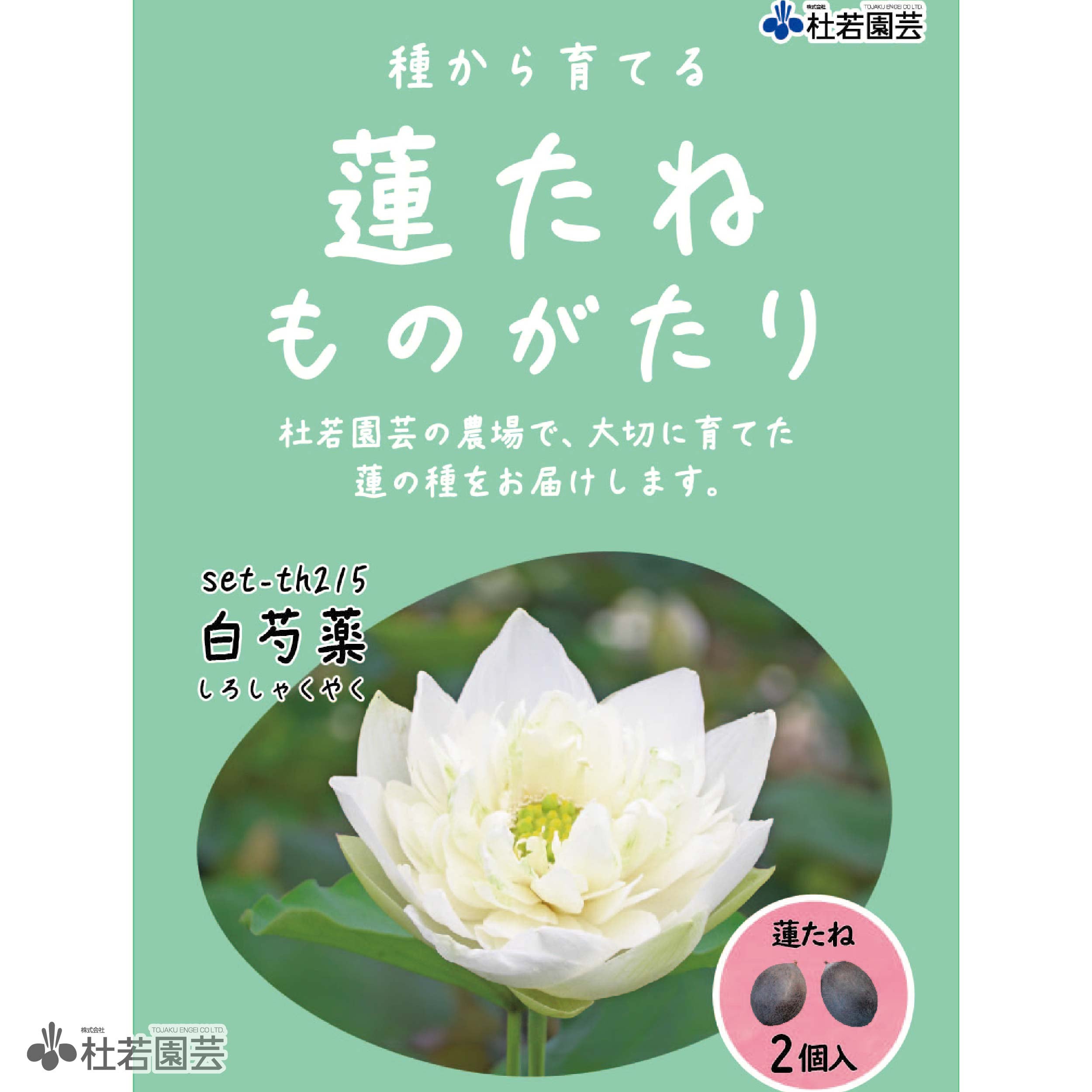 5袋までメール便対応】蓮たねものがたり-白芍薬（しろしゃくやく