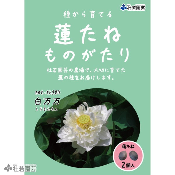 5袋までメール便対応】蓮たねものがたり-白万万(しろまんまん)【大型種