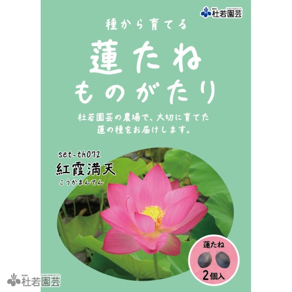 5袋までメール便対応】蓮たねものがたり-小三色蓮（しょうさんしょ