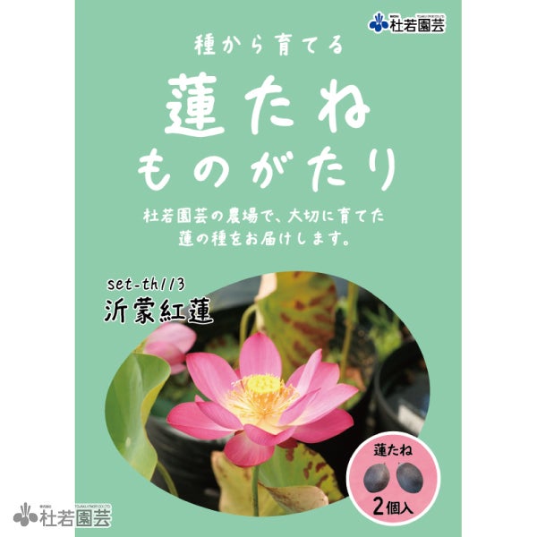 5袋までメール便対応】蓮たねものがたり-厦門碗蓮 【小型種】 | 杜若