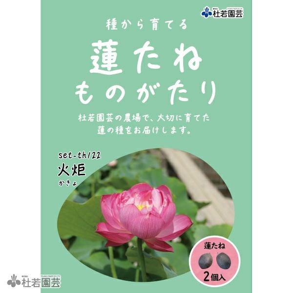 5袋までメール便対応】蓮たねものがたり-火炬（かきょ）B-7【中型種