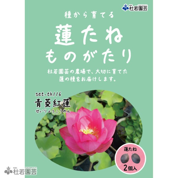5袋までメール便対応】蓮たねものがたり-青菱紅蓮(せいりょうこうれん