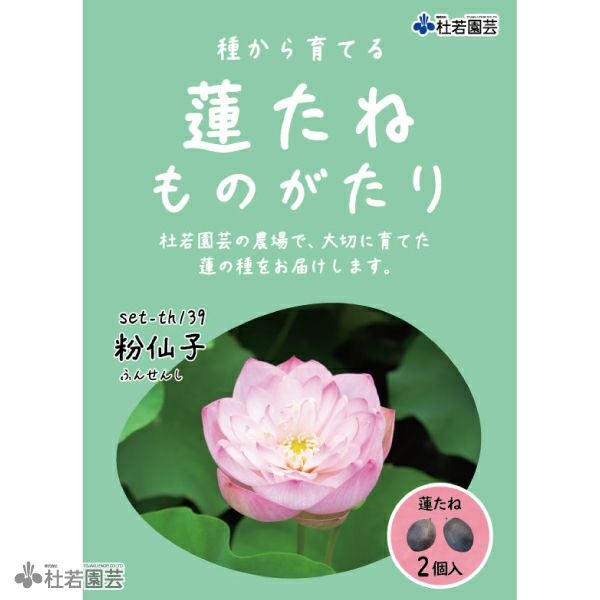 5袋までメール便対応】蓮たねものがたり-中国古代蓮(ちゅうごくこだい