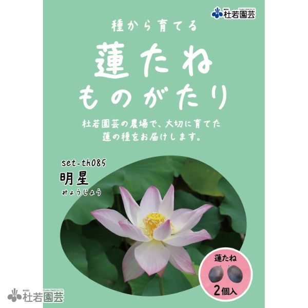 5袋までメール便対応】蓮たねものがたり-小三色蓮（しょうさんしょ