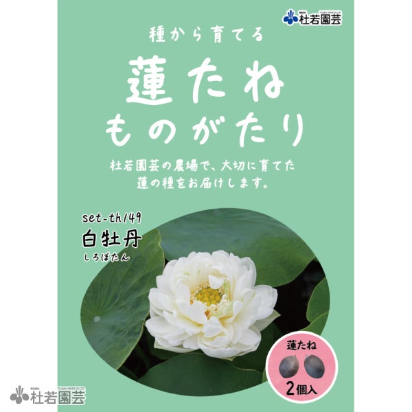 5袋までメール便対応】蓮たねものがたり-白牡丹（しろぼたん）【中